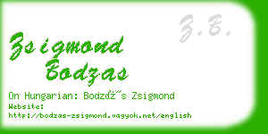 zsigmond bodzas business card